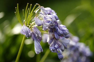 Botanischer Garten Wien