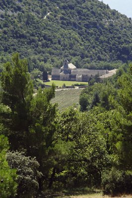 Abbaye de Snanque-6522w.jpg