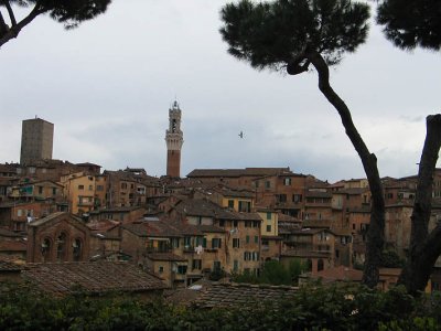 Sienne_4883r.jpg
