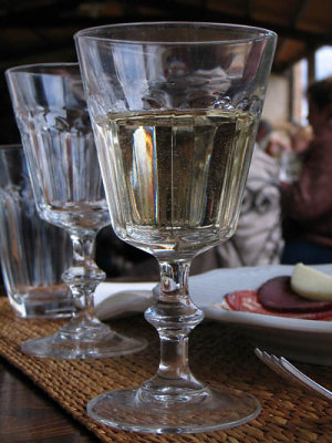 Vernaccia_4875r.jpg