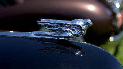 Cadilac Hood Emblem