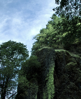 Northwest Oregon