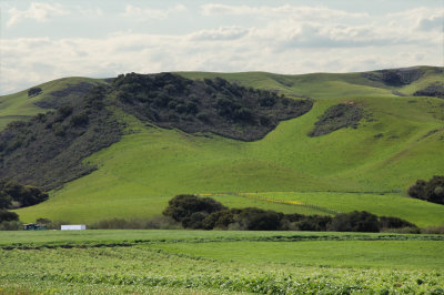 Rolling Hills North of Los Osos