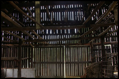 Inside of the Day tobacco barn in Carlisle