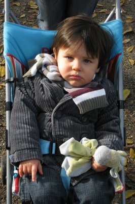 IMG_0198_web.jpg