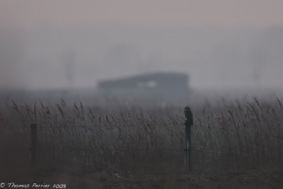 g1/31/698631/3/112904158.5ya55NDB.jpg