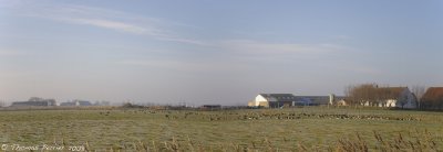 Uitkerke Pano_393