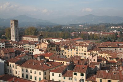 Lucca-vue de Guinigi_0068