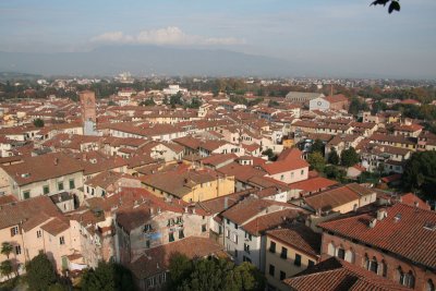 Lucca-vue de Guinigi_0069_