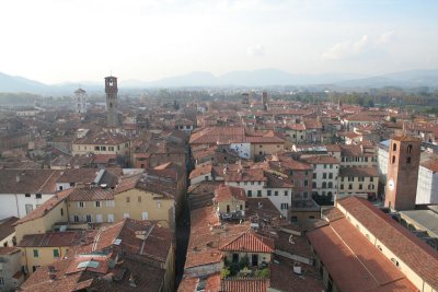 Lucca-vue de Guinigi_0070