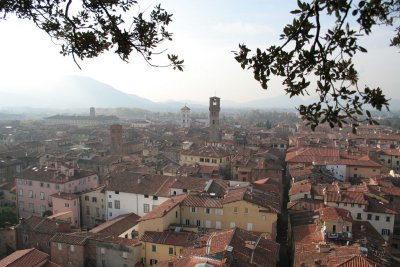Lucca-vue de Guinigi_0073