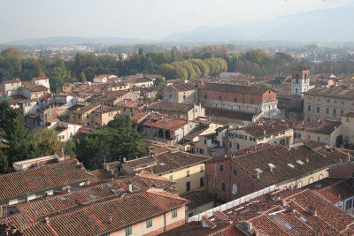 Lucca-vue de Guinigi_0075