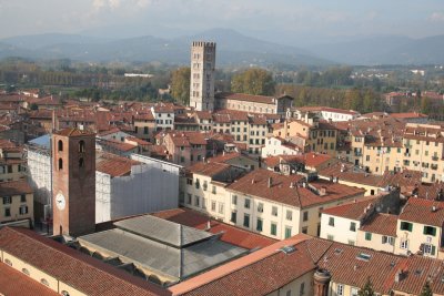 Lucca-vue de Guinigi_0078