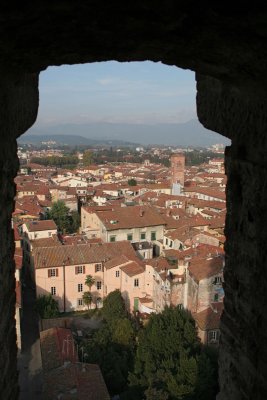 Lucca-vue de Guinigi_0086