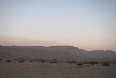 TP_0264_web.jpg