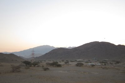 TP_0265_web.jpg