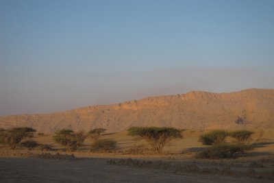 TP_0266_web.jpg