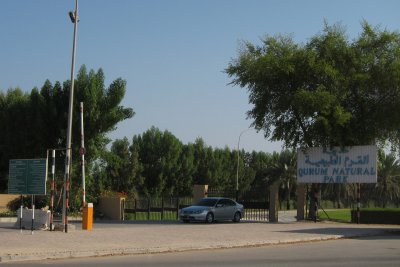 TP_0276_web.jpg