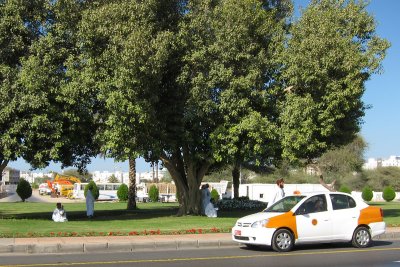 TP_0297_web.jpg