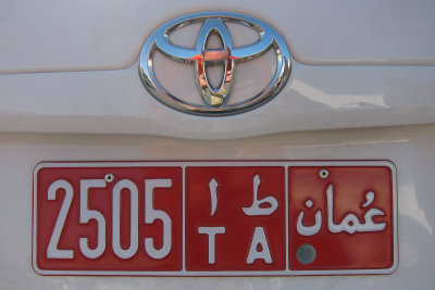 TP_0303_web.jpg