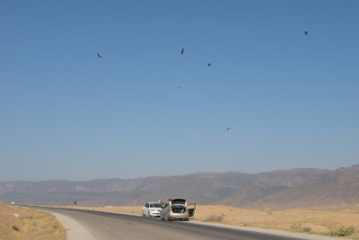 TP_0462_web.jpg