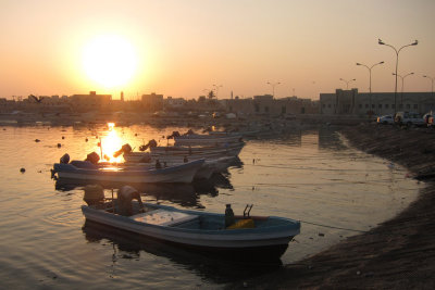 TP_1006_web.jpg