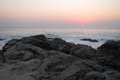 TP_1110_web.jpg