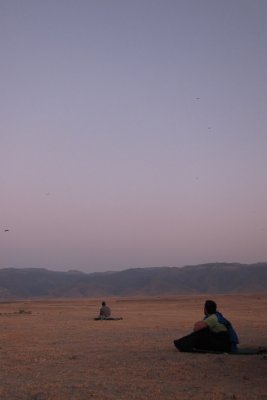 TP_1317_web.jpg