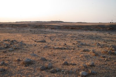 TP_1325_web.jpg