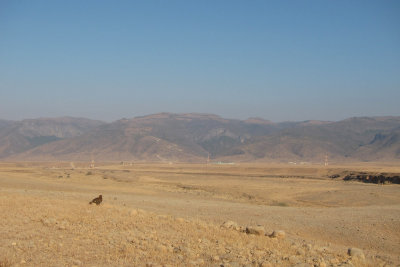 TP_1335_web.jpg