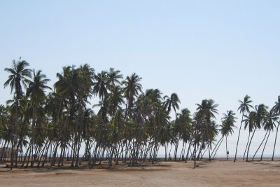 TP_1359_web.jpg