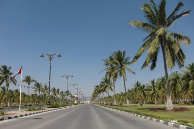 TP_1375_web.jpg