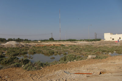 TP_1399_web.jpg