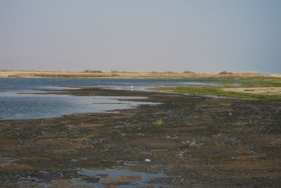 TP_1401_web.jpg