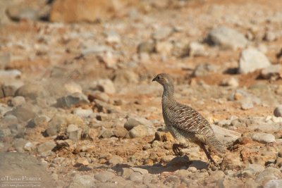 g1/31/698631/3/132477806.vrMfayBa.jpg