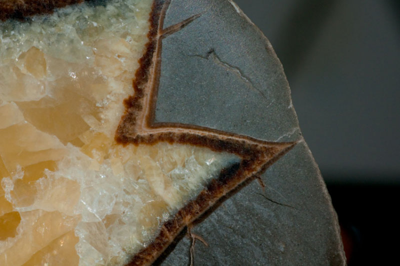 Septarian nodule