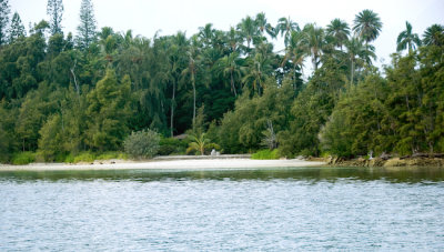 Coconut  Island beach