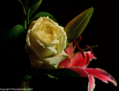 101010 Studio Shots 066.jpg