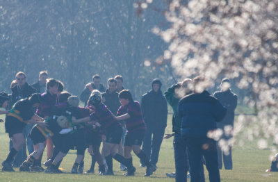 080217 RugbyVMaidenhead 12429.jpg