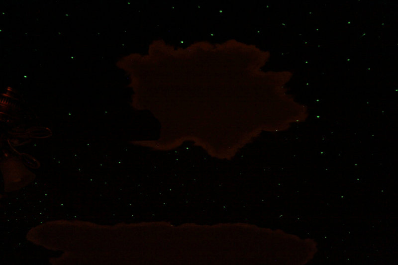 Cloud and Stars Ceiling (0046)