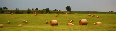 Hay Field (44025)