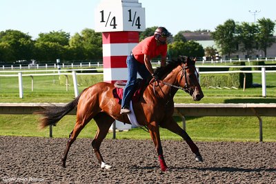 Arlington Park