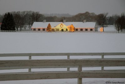 Holiday Stables (11739)