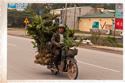 Going mobile;  plant sale.  Vietnam