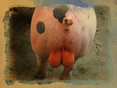 Ooops; wrong end