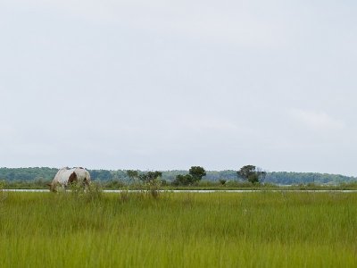 P7249850-LRsm.jpg