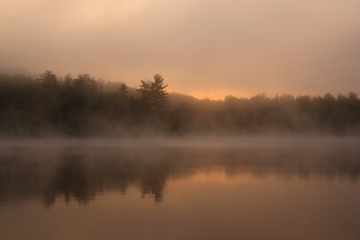 g1/31/730131/3/103685081.49gqXWLX.jpg