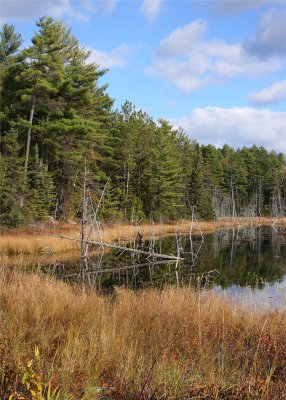 Temagami