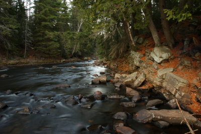 Algonquin park