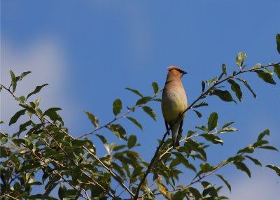 IMG_7502.JPG